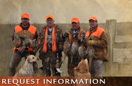 Contact UGUIDE South Dakota Pheasant Hunting