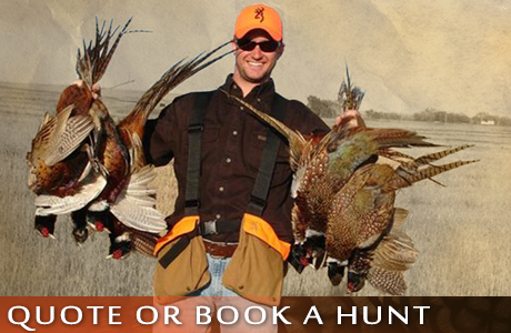 Request a Quote or Book A Pheasant Hunt With UGUIDE South Dakota Pheasant Hunting