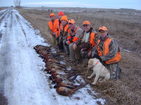 2008 South Dakota Pheasant Hunting Outlook Forecast - December