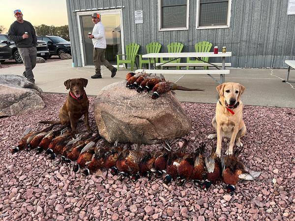2025 UGUIDE Week 3 Crop & Pheasant Harvest Report by Camp