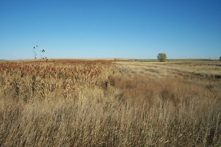 Pheasant Camp Lodge Photo