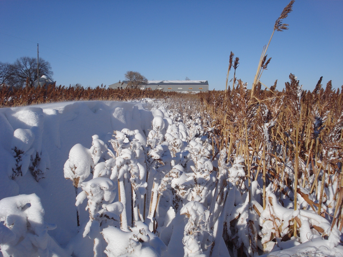 UGUIDE Food Cover Plots Photo