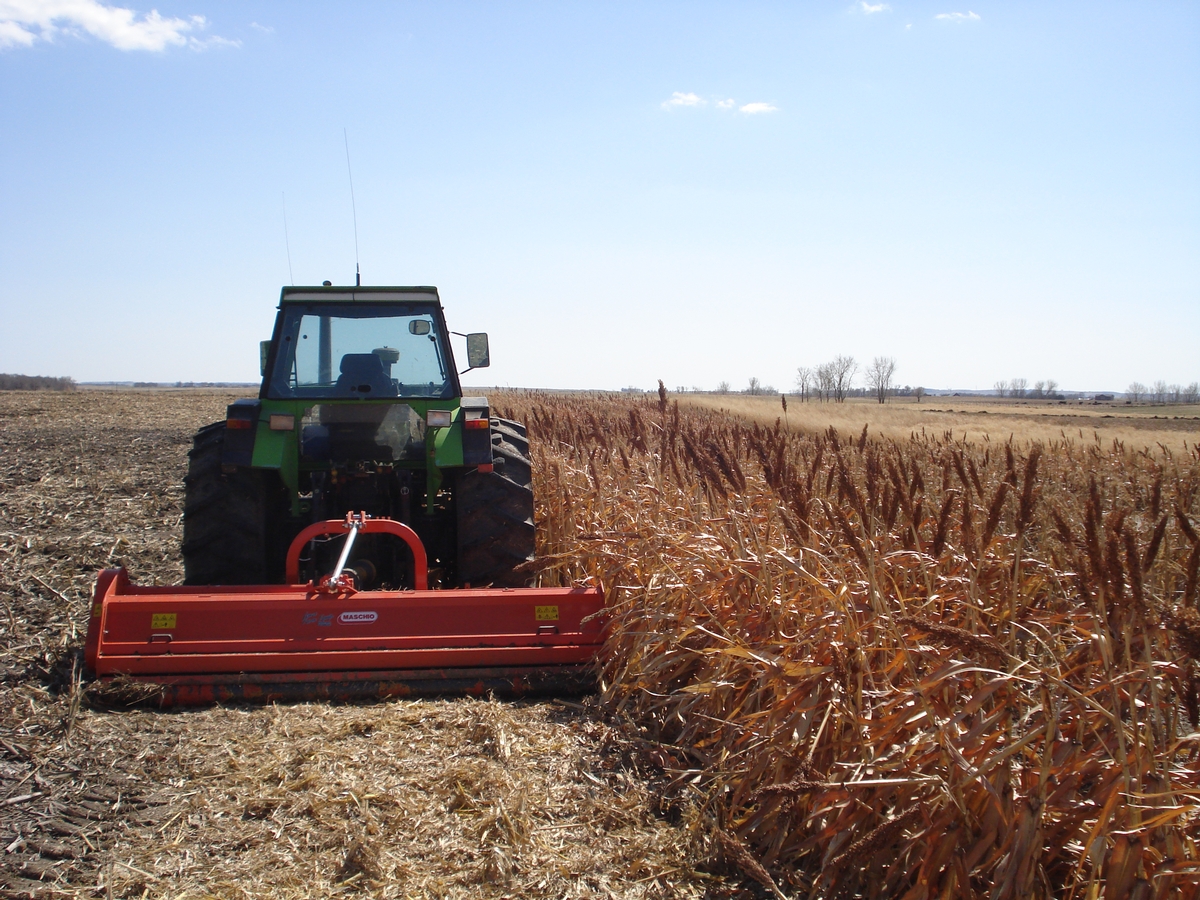 UGUIDE Food Cover Plots Photo