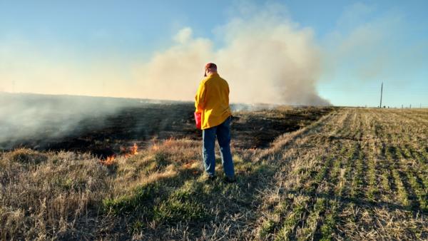 Prescribed Burns Photo