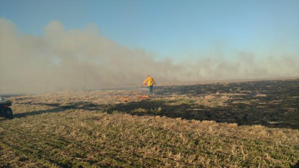 Prescribed Burns Photo