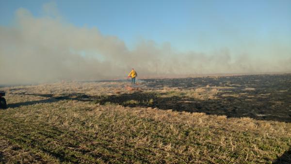 Prescribed Burns Photo