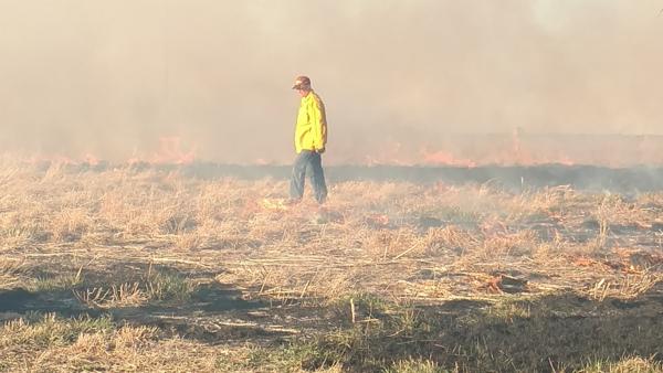 Prescribed Burns Photo