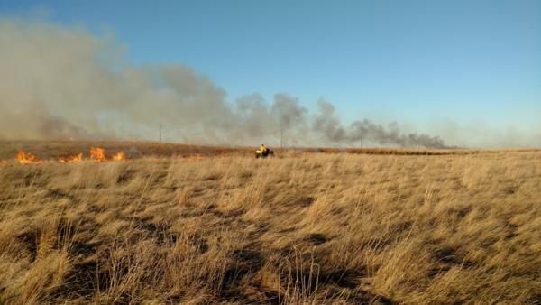 Prescribed Burns Photo