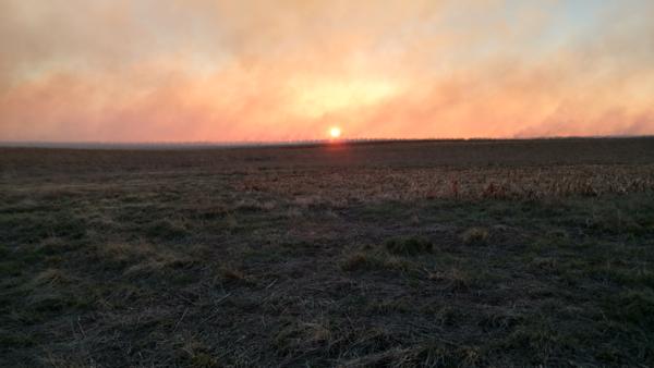 Prescribed Burns Photo