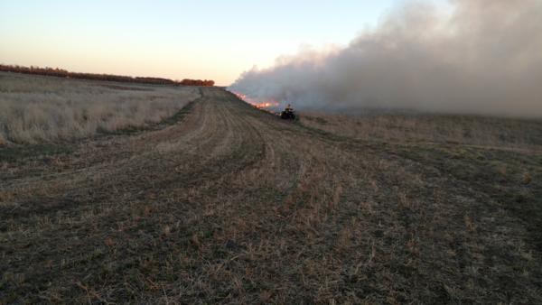 Prescribed Burns Photo