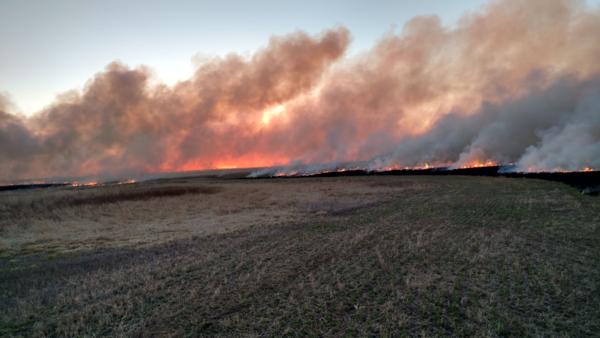 Prescribed Burns Photo