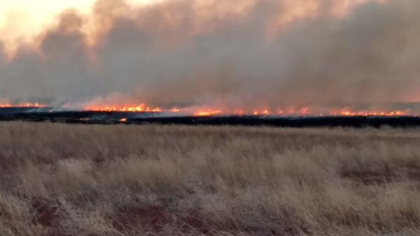 Prescribed Burns Photo