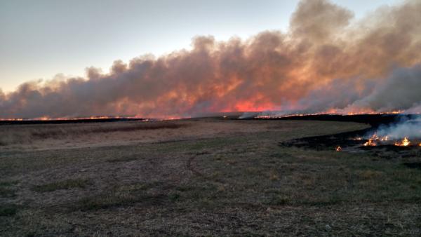 Prescribed Burns Photo