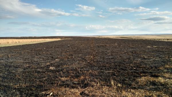 Prescribed Burns Photo