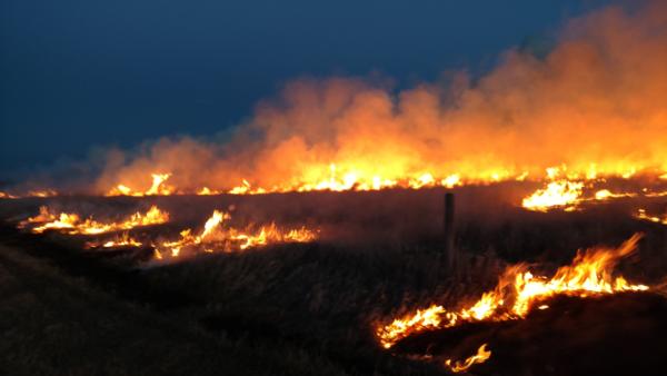 Prescribed Burns Photo