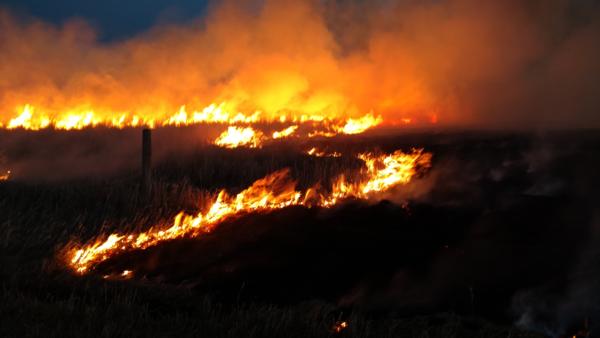 Prescribed Burns Photo