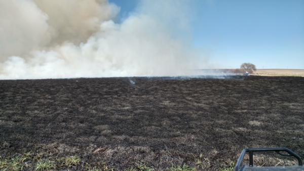 Prescribed Burns Photo