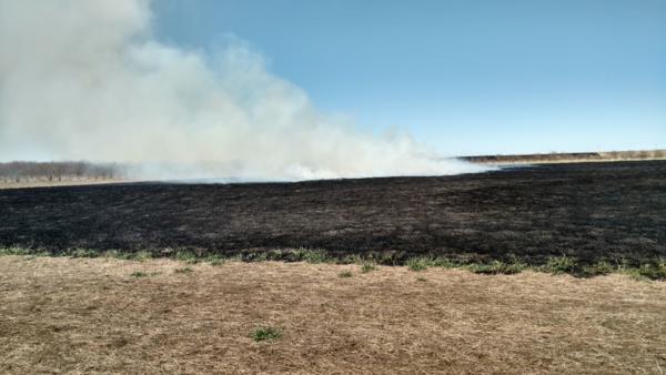 Prescribed Burns Photo