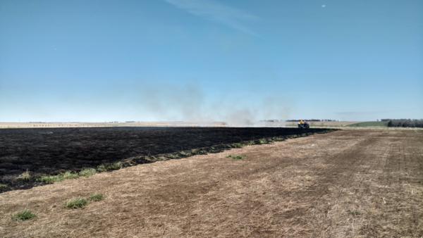 Prescribed Burns Photo