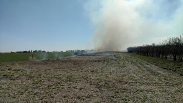 Prescribed Burns Photo