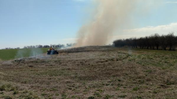 Prescribed Burns Photo