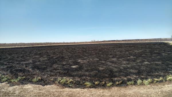 Prescribed Burns Photo