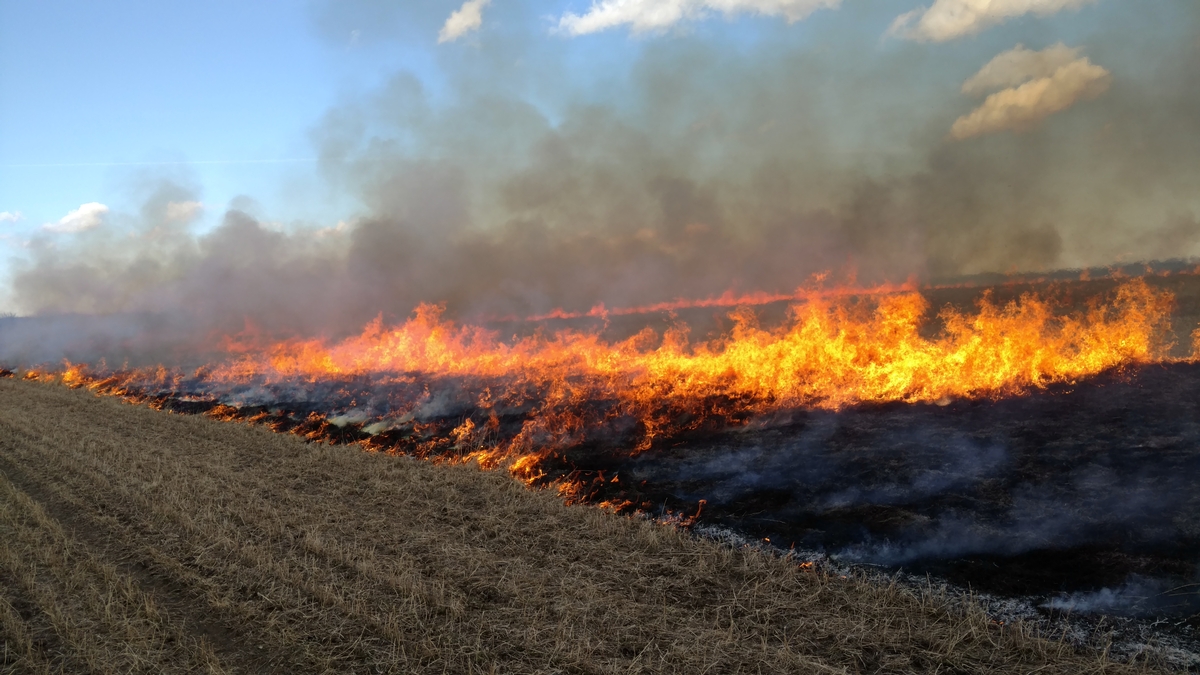 Conservation Farming 2018 Photo