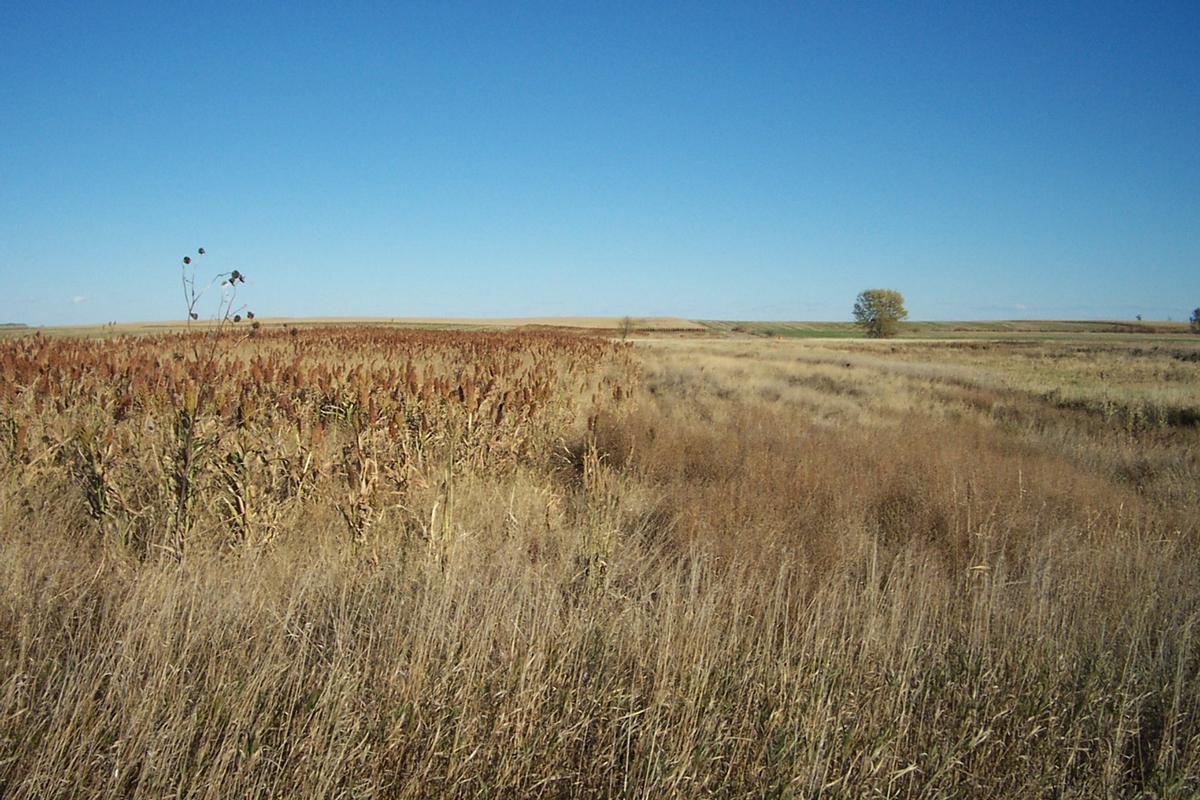 UGUIDE Food Cover Plots Photo