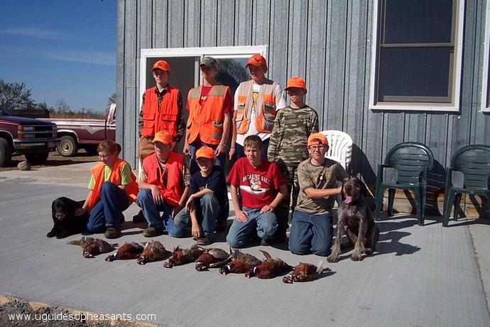 Pheasant Hunting Photo