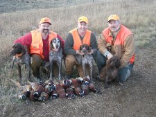 Pheasant Hunting in South Dakota