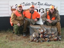 Pheasant Hunting in South Dakota