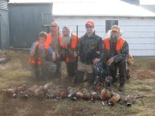 Pheasant Hunting in South Dakota