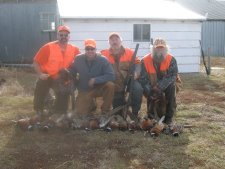 Pheasant Hunting in South Dakota