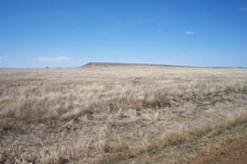 South Dakota Pheasant Hunting Opener