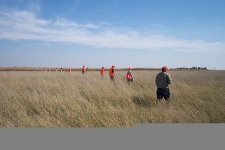 Pheasant Hunting Guide