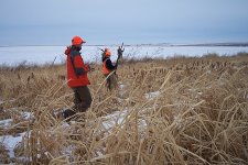 Upland Bird Hunting at UGUIDE