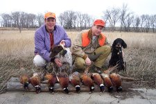 Pointing Pheasant Hunting Dogs Rock!