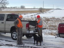 South Dakota Late Season Pheasant Hunting