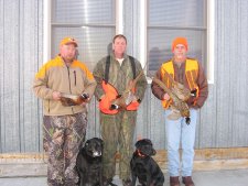 Bird Hunting Lodge Upland Pheasant