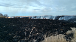 Just days prior to blizzard - conducting prescribed burns