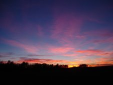 South Dakota Pheasant Hunting Sunsets